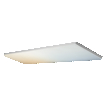 SMART+ MATTER Planon Frameless Tunable White 1200x300mm white, upright, sw. on (thumbnail)