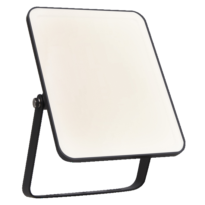 Floodlight Essential 30W 6500K white, upright, sw. on