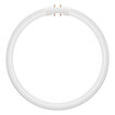 LED T5 FC 22 EXTERNAL   11.6W 840 2GX13 white, upright (thumbnail)