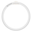 LED T5 FC 22 EXTERNAL   11.6W 840 2GX13 white, upright, LEDVANCE logo (thumbnail)