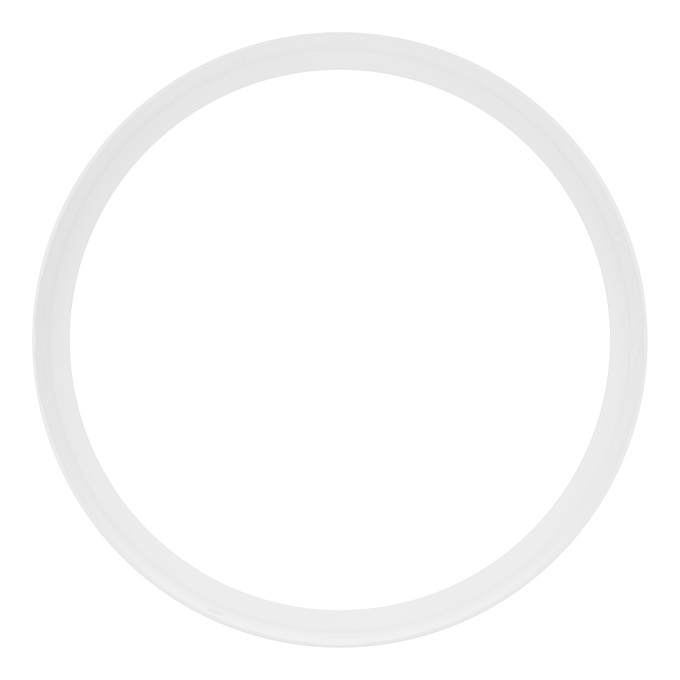 BLKH RD RING 300 WT white, backside