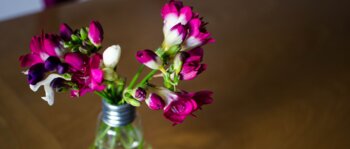 Flores de bulbo de Edison