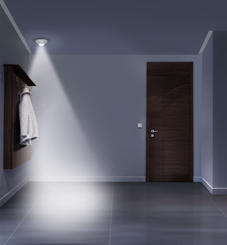 Getty-ID_465639406_Nightlux_Ceiling