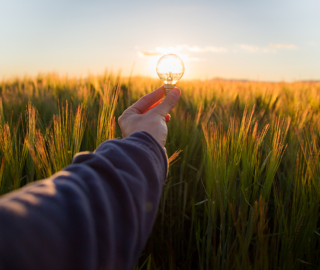 ‘El Poder de la Luz ‘pone la iluminación al servicio del planeta.