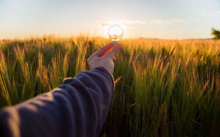 ‘El Poder de la Luz ‘pone la iluminación al servicio del planeta.