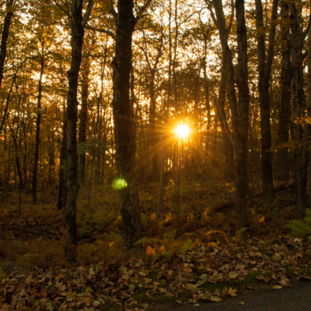 El mundo antes y después de las lámparas eléctricas
